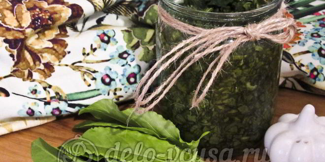 Рецепт щавеля с солью на зиму