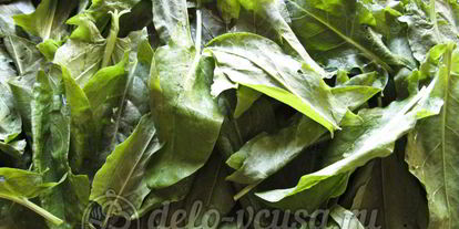 Шаг 1: щавеля с солью на зиму