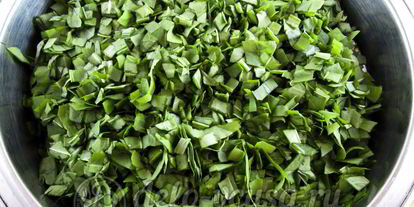 Шаг 2: щавеля с солью на зиму