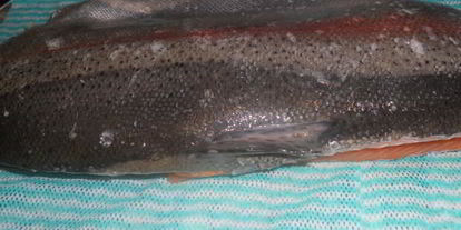 Шаг 4: форели малосольной