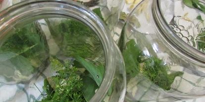 Шаг 2: консервированных помидоров