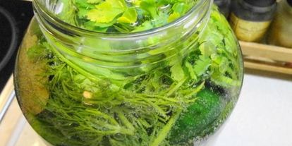 Шаг 1: малосольных огурцов на минеральной воде