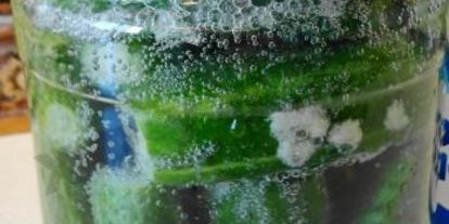 Шаг 2: малосольных огурцов на минеральной воде