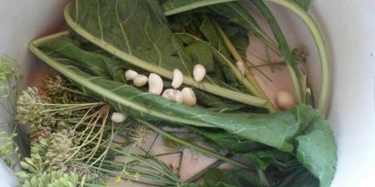 Шаг 2: малосольных огурцов на зиму