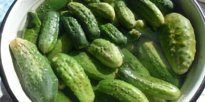 Шаг 3: малосольных огурцов на зиму