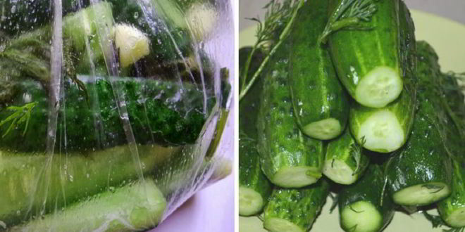 Рецепт малосольных огурцов в пакете