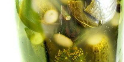 Шаг 4: огурцов малосольных