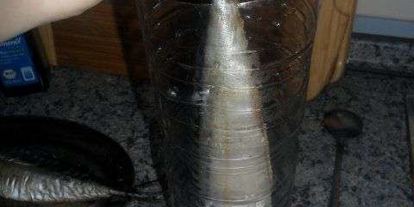 Шаг 35: скумбрии домашнего посола