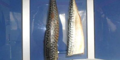 Шаг 59: скумбрии домашнего посола