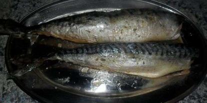 Шаг 82: скумбрии домашнего посола