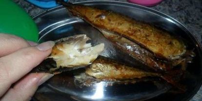 Шаг 99: скумбрии домашнего посола