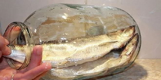 Рецепт соленой селедки