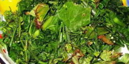 Шаг 1: соленых помидоров