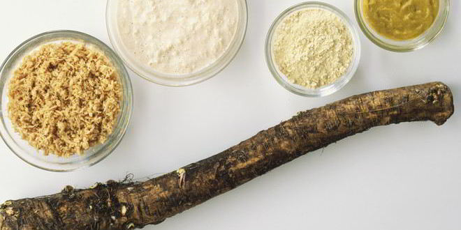 Рецепт способов заготовки хрена на зиму