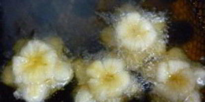 Шаг 2: слоеного теста с вареньем