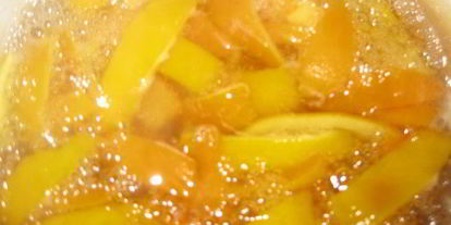 Шаг 2: цукатов зимнего привета иза цитрусовых