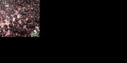 Шаг 1: варенья из черноплодной рябины с яблоками