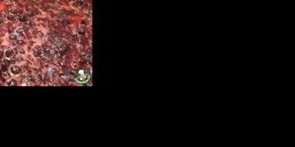 Шаг 5: варенья из черноплодной рябины с яблоками