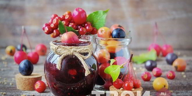 Рецепт варенья из терна