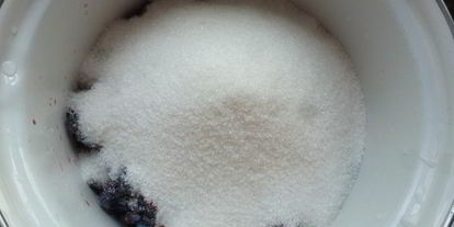 Шаг 1: варенья из жимолости