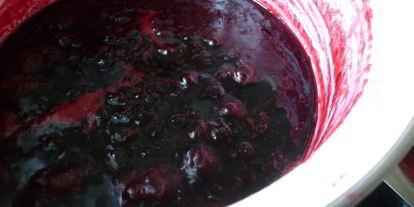 Шаг 3: варенья из жимолости