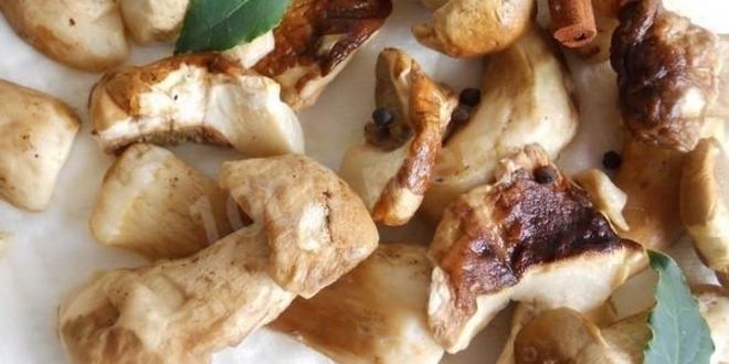 Рецепт заготовки грибов замороженных на зиму