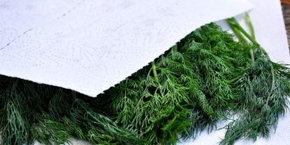 Шаг 3: замороженного укропа на зиму