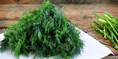 Шаг 4: замороженного укропа на зиму