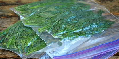 Шаг 5: замороженного укропа на зиму