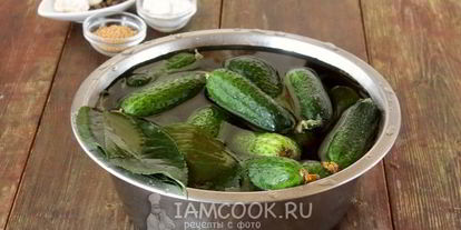 Шаг 3: засолки хрустящих огурцов на зиму