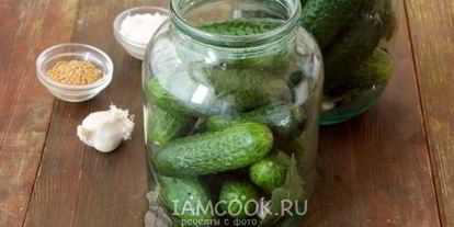 Шаг 5: засолки хрустящих огурцов на зиму