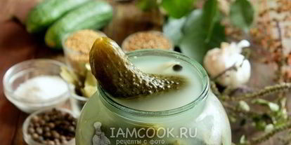 Шаг 10: засолки хрустящих огурцов на зиму