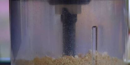 Шаг 5: овощных бургеров с чечевицей, грибами и курагой