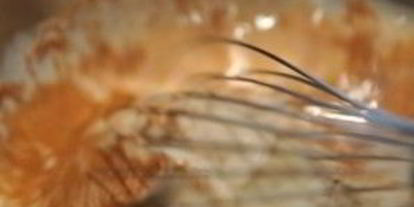 Шаг 4: французских гренков с ромом