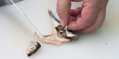 Шаг 1: гренков с килькой