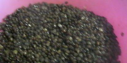 Шаг 6: канапе с черной чечевицей фуршетные