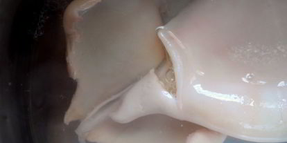 Шаг 1: творожно-кальмарной паста для канапе