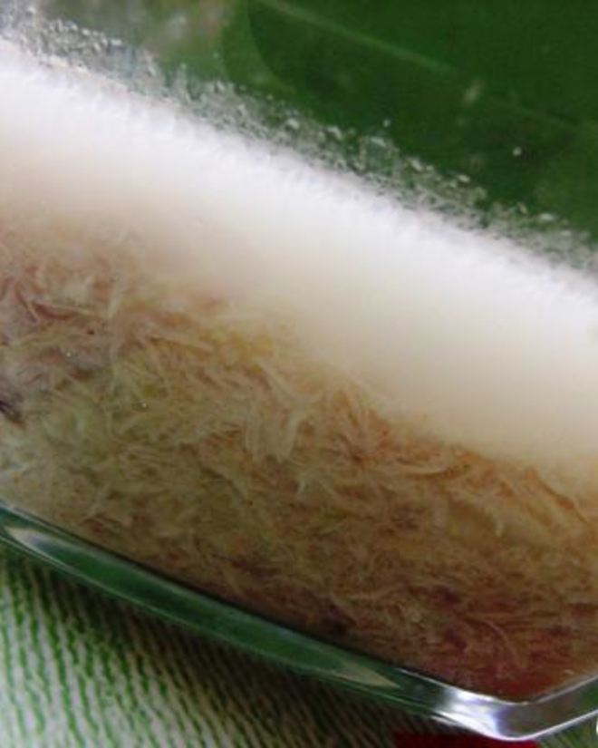 Рецепт холодца из курицы