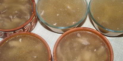 Шаг 5: холодца из курицы