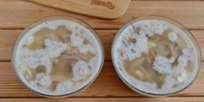 Шаг 8: холодца из свинины и говядины