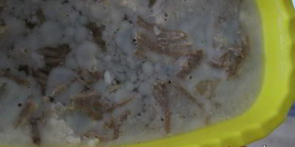 Шаг 6: холодца из свинины и индейки