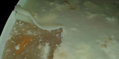 Шаг 7: холодца новогоднего