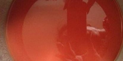 Шаг 3: томатного холодца с белой рыбой