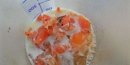 Шаг 3: омлета с зеленью за 2 минуты