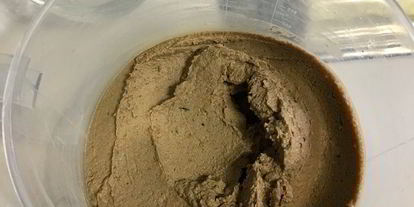 Шаг 10: паштета из печени кролика с каштанами