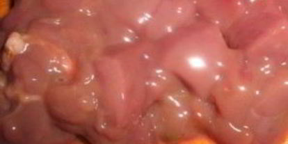 Шаг 1: паштета из утки с апельсинами