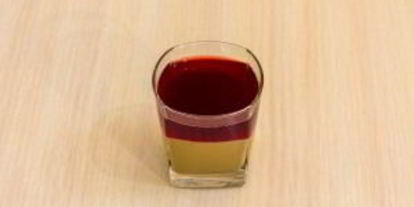 Шаг 15: паштета под брусничным желе