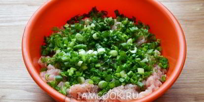 Шаг 4: спринга роллы с курицей