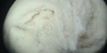 Шаг 2: картофельного рулета с грибами