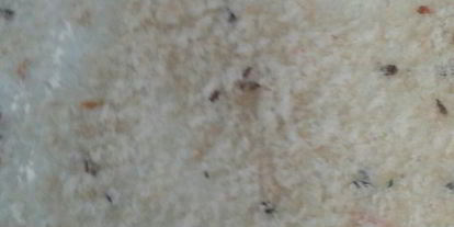 Шаг 3: картофельного рулета с грибами